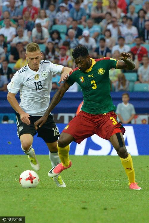 德国vs喀麦隆犯规了吗